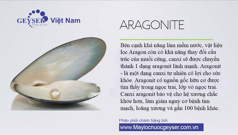 Lõi lọc nước Aragon Geyser